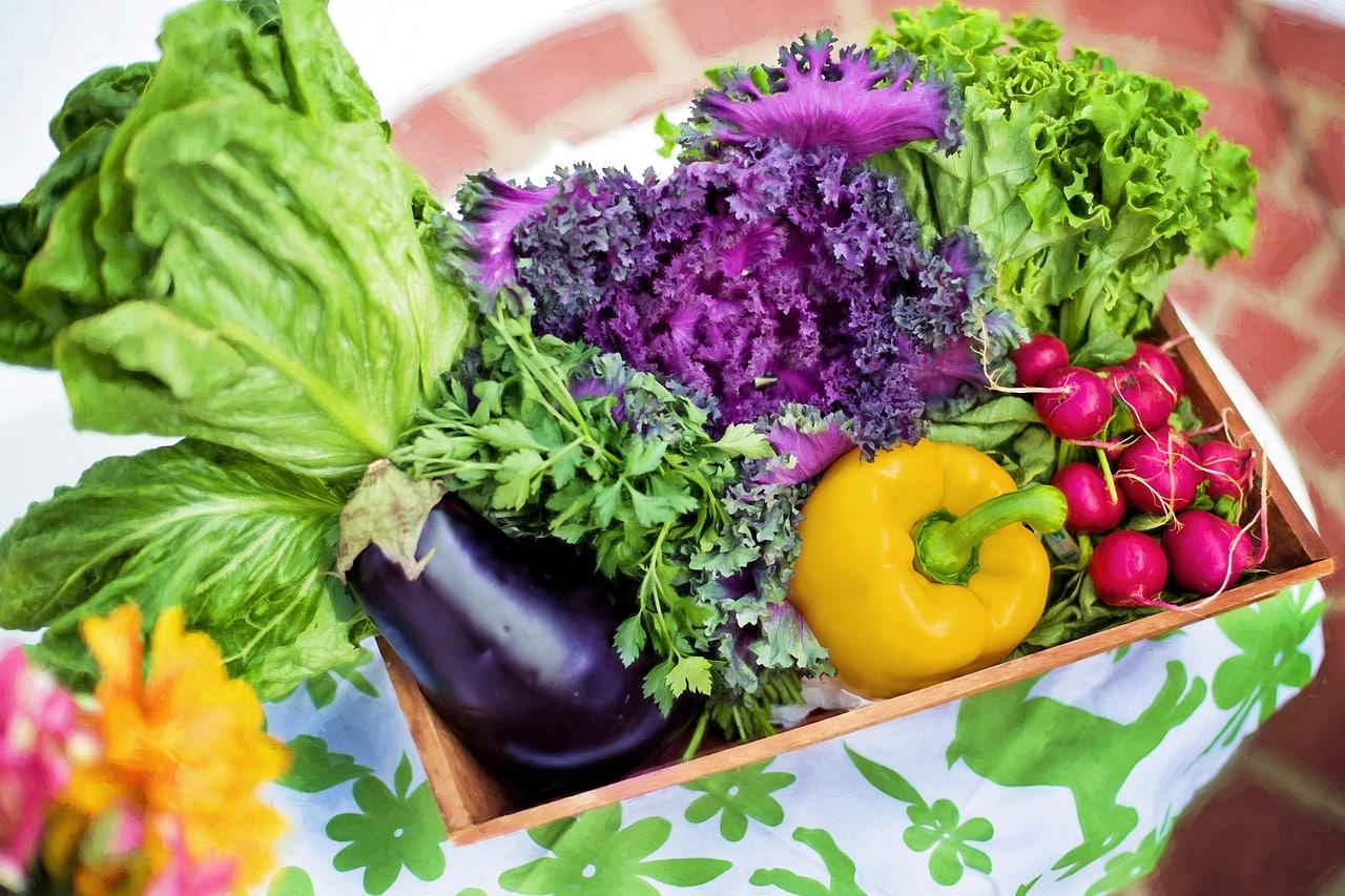 Quels légumes et fleurs planter en mai pour un jardin en pleine santé ?