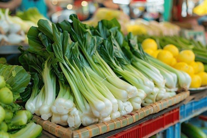 Quelles sont les idées de recettes savoureuses et originales à base de chou chinois ?